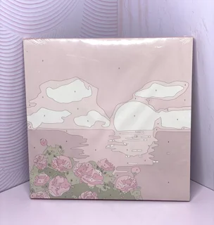 کپی - بوم رنگ امیزی شماره دار(cm30×30)